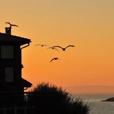 בית הארחה Deep Blue סוזופול