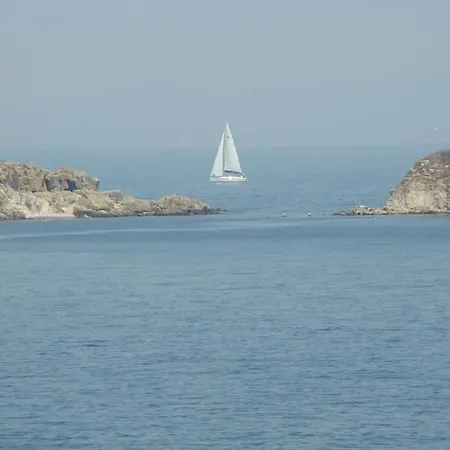 Deep Blue סוזופול