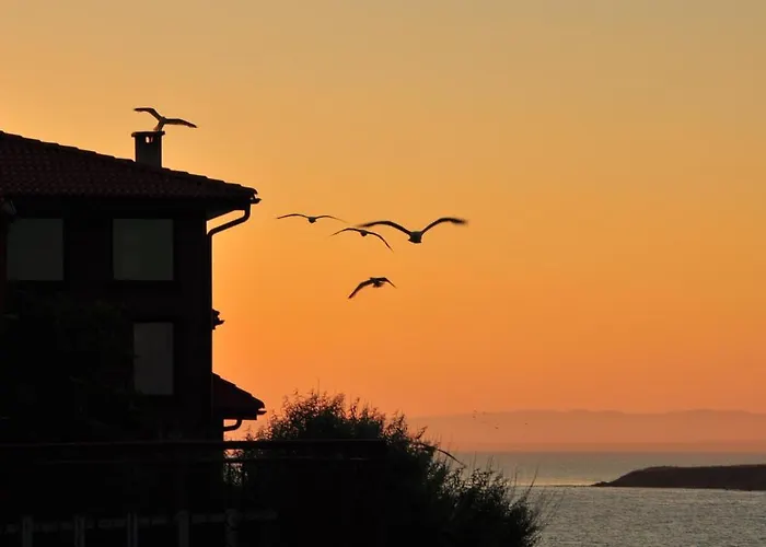 Maison d'hôtes Deep Blue Sozopol