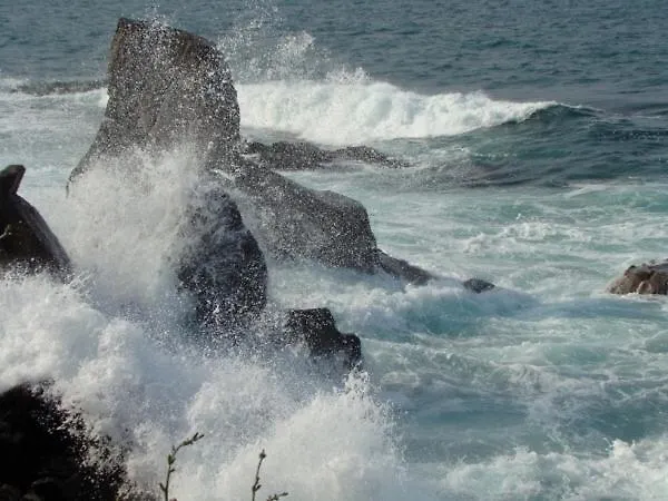 Deep Blue Maison d'hôtes 2*